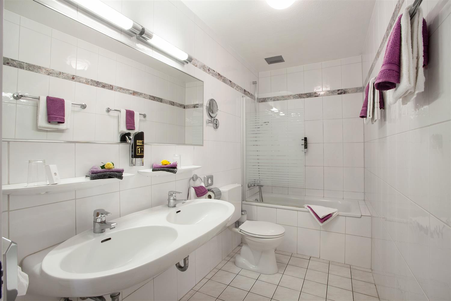 Hotel Western Ambassador 3*